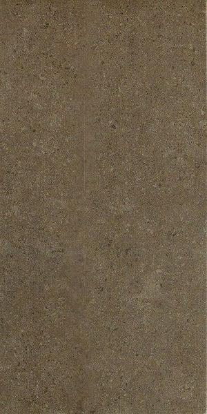 610010000707 аурис мока  реt 30x60
