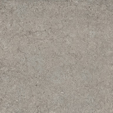 610010002734 дискавер грэй 60 рет 610010002734 дискавер грэй 60 рет