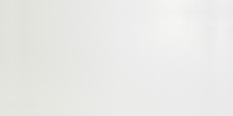 4dwm 50x110 solid white matt 50x110