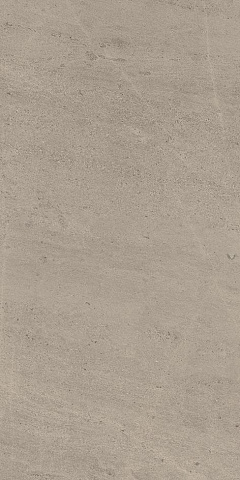 610010001407 w. silver grey rett 60x120-в. сильвер грей 60x120 рет.