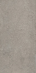 610010002728  дискавер грэй 60x120 рет
