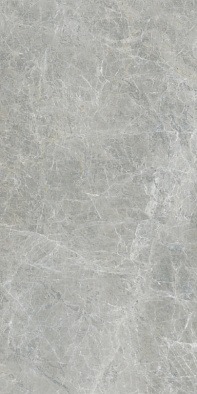 610010005767	canova grey 60x120 ret