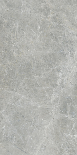 610010005767	canova grey 60x120 ret