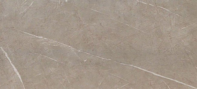 4mpv 50x110 marvel silver dream 50x110