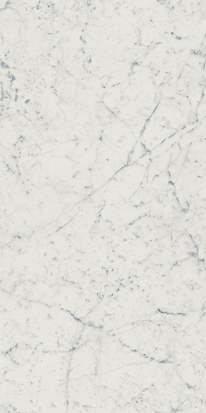 610015000356 шарм экстра флор проджект каррара  пат 30x60