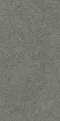 610010004169 форум стоун айрон 60x120