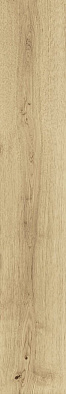 Ao47 20x120 exence vanilla 20x120
