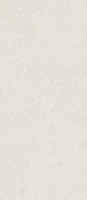 600180000081 форум стоун полар 120x278