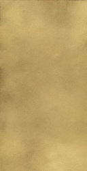 610015000645 континуум бр.голд 80x160