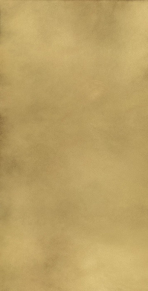 610015000645 континуум бр.голд 80x160