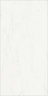 610015000494 шарм делюкс флор проджект б.микел. cer 60x120