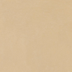 610015000144 имэджин беж  пол 60x60