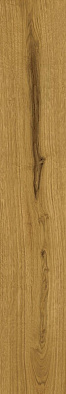 Ao49 20x120 exence amber 20x120