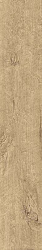 As3m 25x150 axi golden oak 25x150 r10