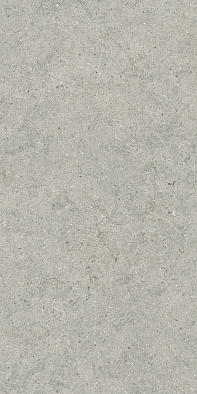 610010004168 форум стоун сильвер 60x120