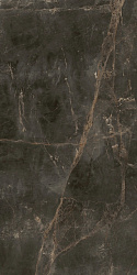 610010005768	canova dark 60x120 ret