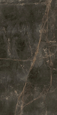 610010005768	canova dark 60x120 ret