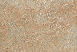 Acn3 40x60 trust gold 40x60