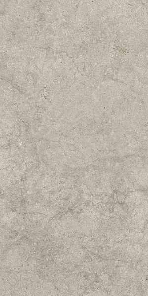 610010003142 саленто грэй 60x120 рет