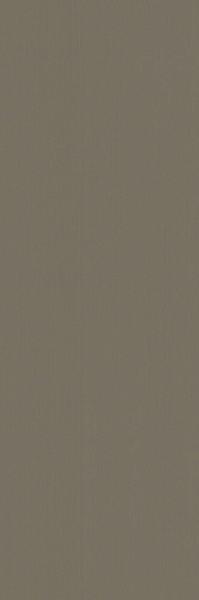 600010001940 элемент силк терра  25x75