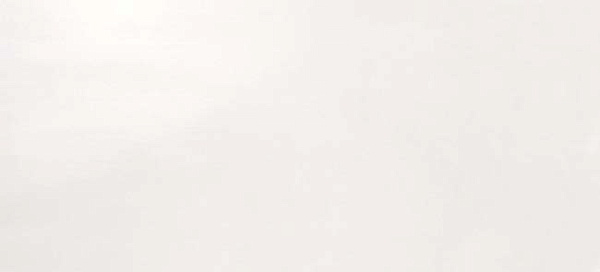 4d1w 50x110 dwell off white 50x110