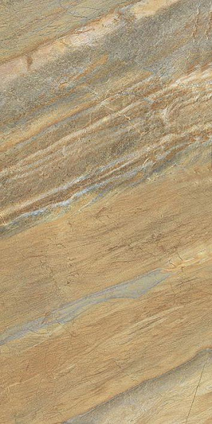 610010000693 манетик раст голд  рет 30x60