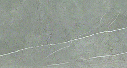 9p5s 30.5x56 marvel silver dream 30.5x56