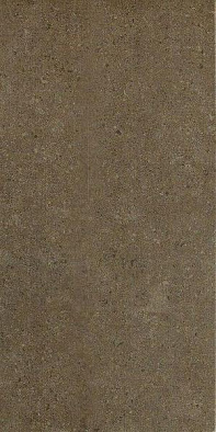 610010000707 аурис мока  реt 30x60