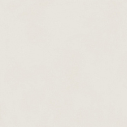 610010004196 форум слим полар 120 рет