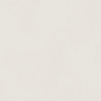 610010004196 форум слим полар 120 рет