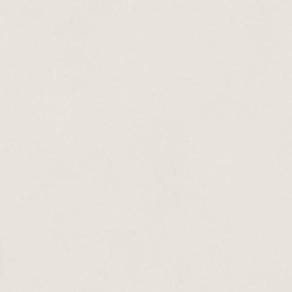 610010004196 форум слим полар 120 рет