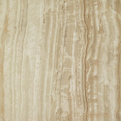 610010000737 s.o. ivory chiffon rett 60 - с.о. айвори шиффон 60 рет.