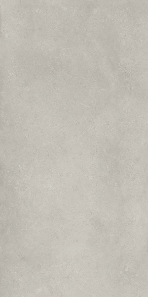 610010004099 фоссил грэй 60x120 рет