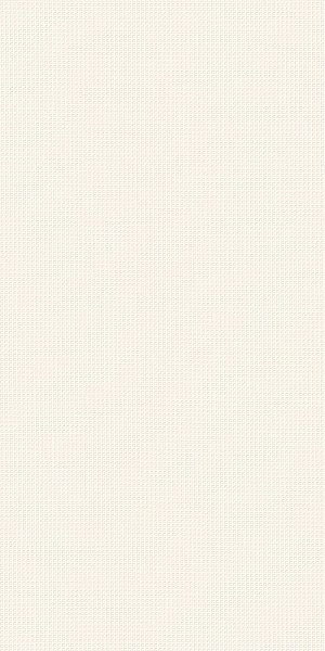 600010002160 рум уолл проджект уайт текстур  40x80