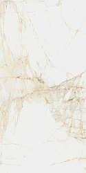 610010005765	canova white 60x120 ret