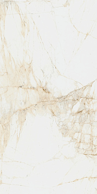 610010005765	canova white 60x120 ret