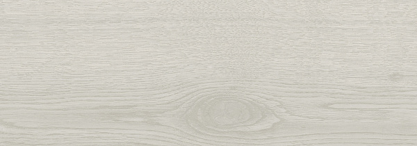17.5x50 baldocer sabine silver 17.5x50 baldocer sabine silver