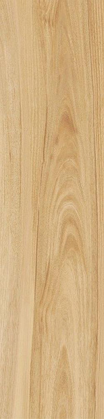 610010000815 мезон шампэйн  рет 30x120