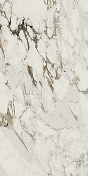 610010001842 allure capraia rett 80x160-аллюр капрайя 80x160