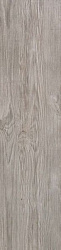 As3d 22.5x90 axi silver fir 22.5x90 r10