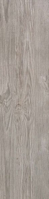 As3d 22.5x90 axi silver fir 22.5x90 r10