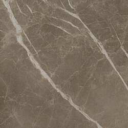 610015000307 s.s. grey wax 60x60 - с.с. грей 60 вакс рет.