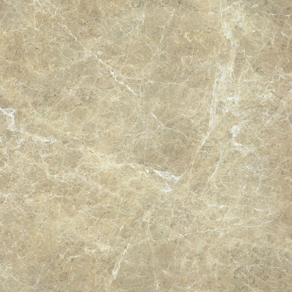 610015000171 элит флор проджект джуэл голд  люкс 59x59