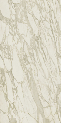 4mer 50x110 marvel royal calacatta 50x110