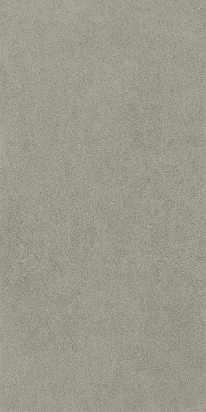 610010004079 космос грэй 60x120 рет
