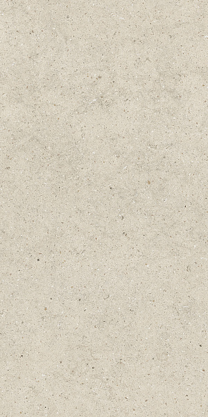 610010004167 форум стоун  пьюр 60x120