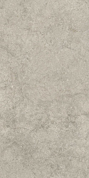 610010003142 саленто грэй 60x120 рет