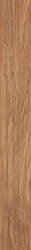 Aj8m 11x90 etic ulivo 11x90
