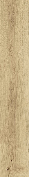 Ao47 20x120 exence vanilla 20x120