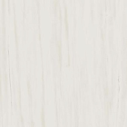 Azqs 60x60 marvel bianco dolomite 60x60